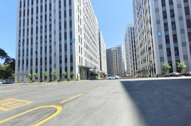 原房东塘厦大坪高速全新厂房800平主线到车间厂房仓库出租