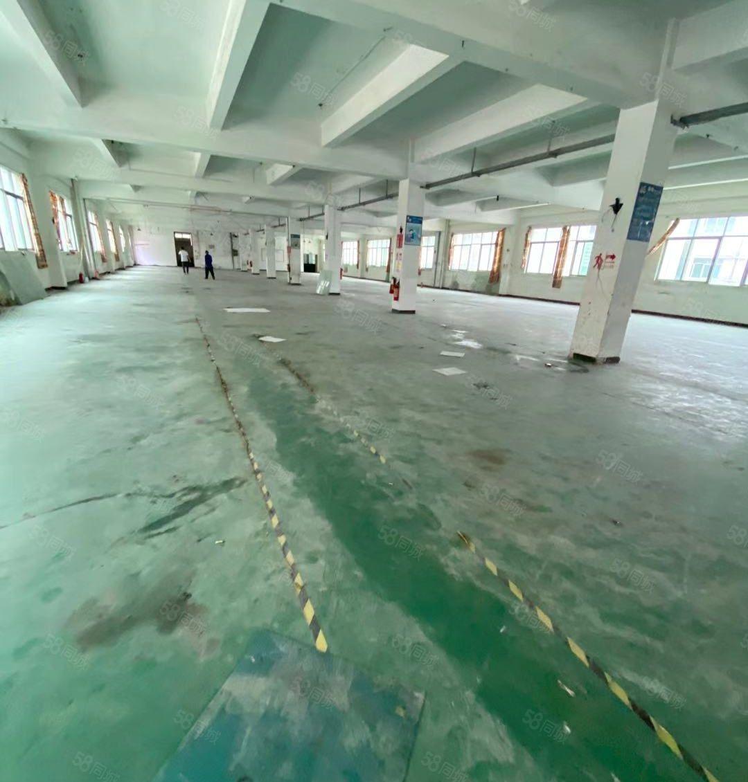 塘厦石潭布标准2楼1300平！地坪漆装修