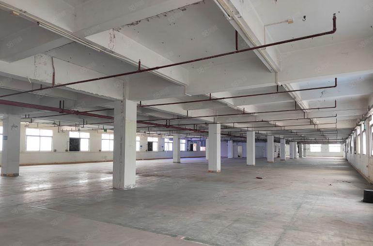 塘厦镇高速出口附近 原房东标准独院8000平厂房出租带装修