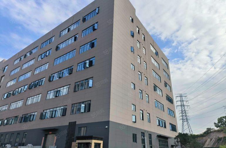 塘厦大坪高速出口原房东新出楼上1668平方 园区形象高大上