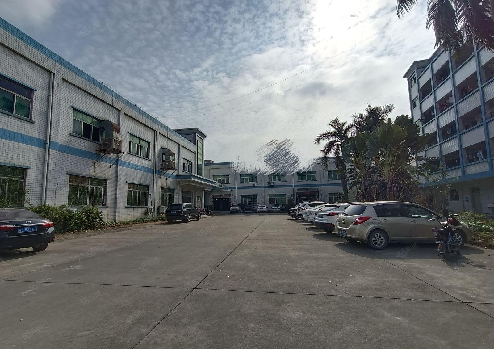 塘厦林村新出楼上1700平带精装修，水电齐全，可火抢