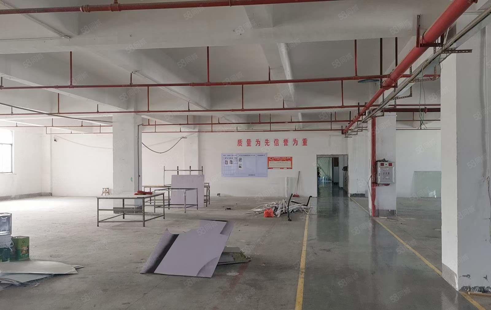 塘厦沙湖近深圳观兰，楼上2500平厂房出租，精装修办公室，