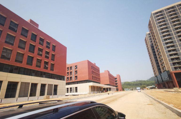 东莞塘厦35万平方红本厂房招商