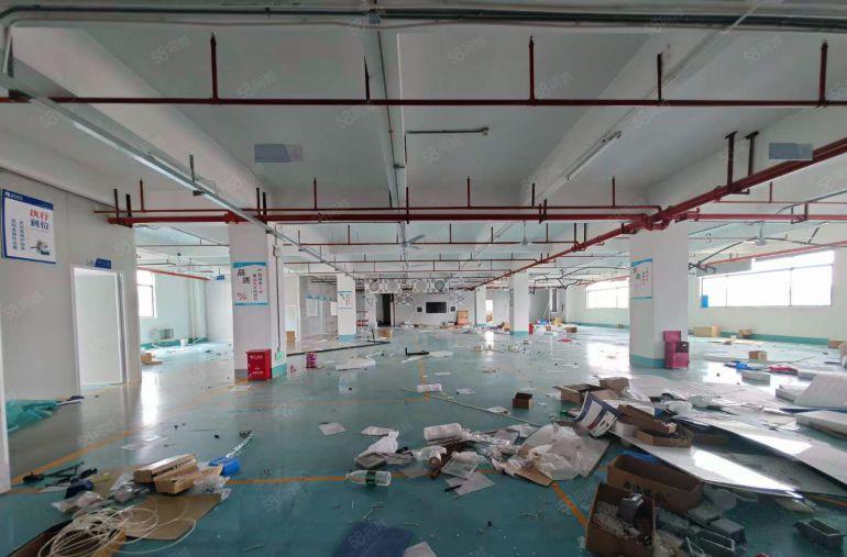 塘厦石马独院厂房仓库1280平，豪华装修无转让费出租拎包生产