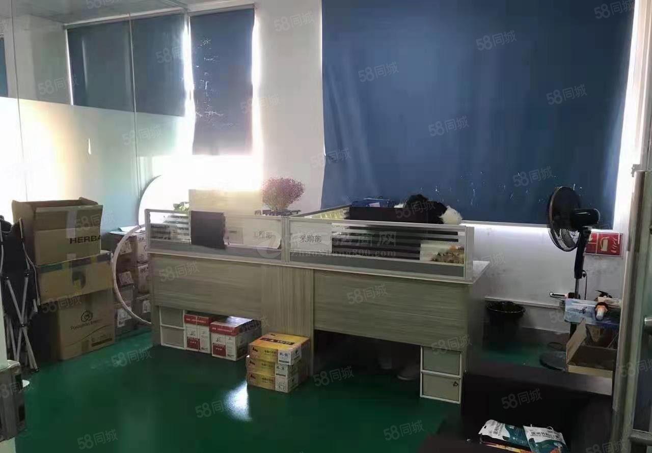 塘厦林村高铁站厂房 大路边 高6米不限行业可带污染