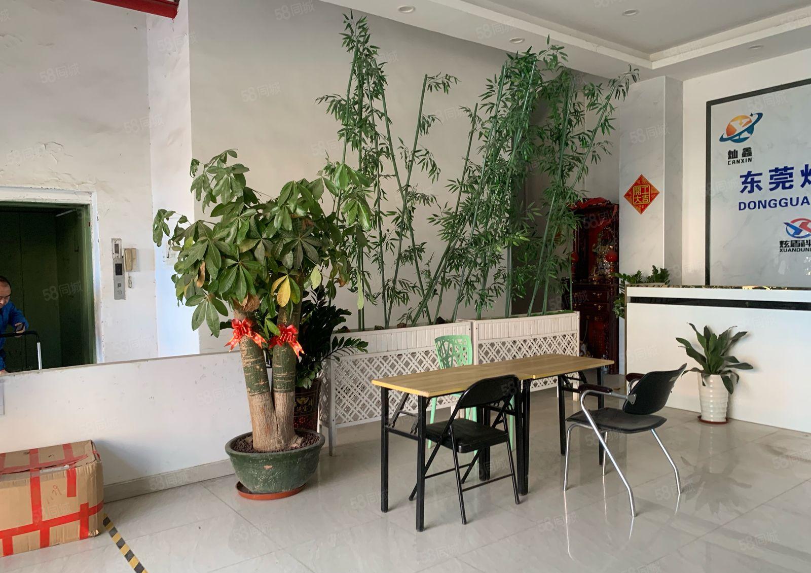 塘厦中心区无尘车间出租 ，一楼1680平呀，有排水环评证