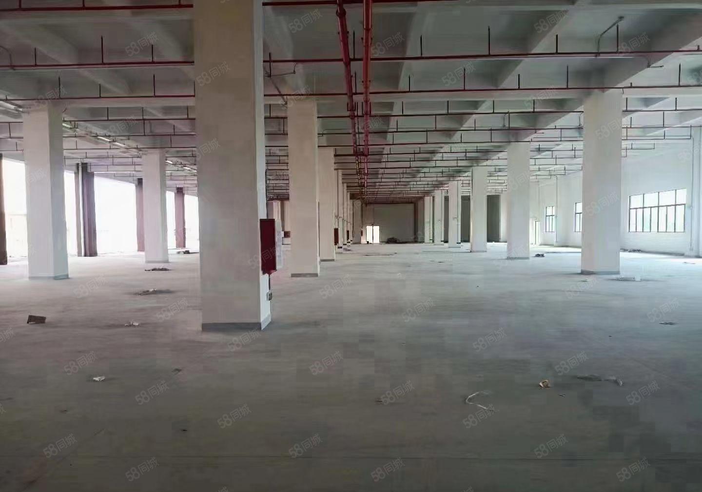 塘厦外环高速出口旁边一楼厂房出租水电线路齐全带国有证