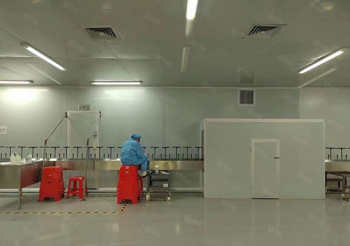 塘厦原房东花园式厂房 面积实在 空地大