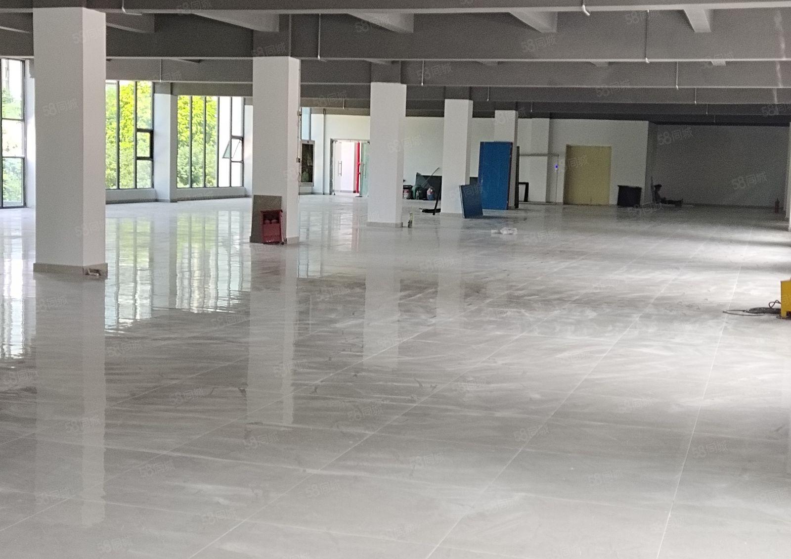 2百平起可出租，塘厦田心工业区独院1500平红本仓库厂房出租