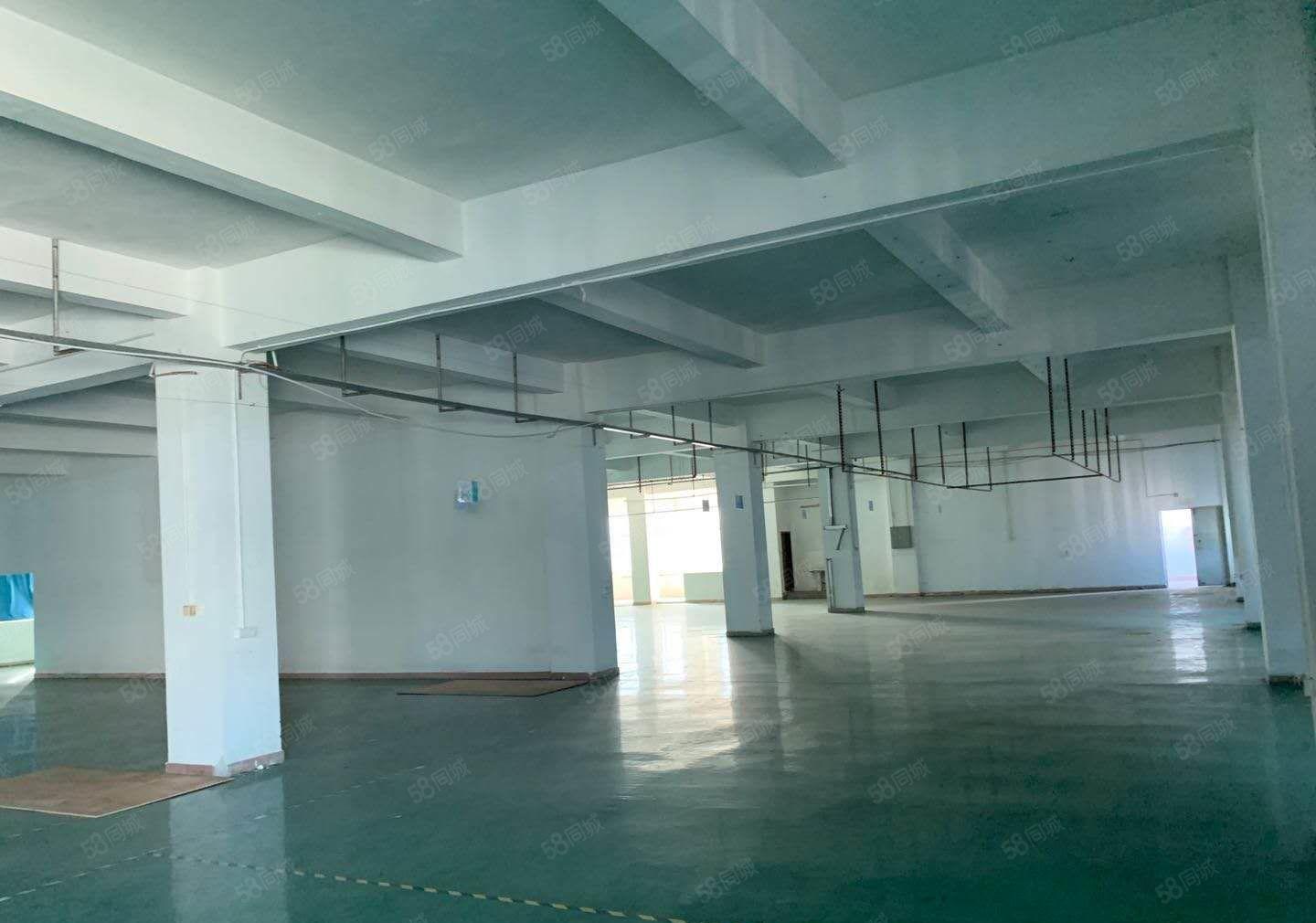 低价厂房出租！寮步良边原房东厂房1288平，带办公室