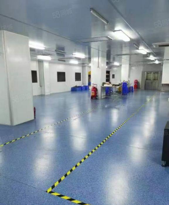 寮步镇原房东独院厂房出租十万级无尘车间空地大水电齐全