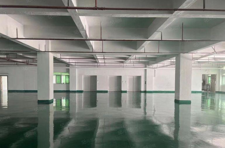 寮步 泉塘 独院 厂房出租 共5000平方，形象好