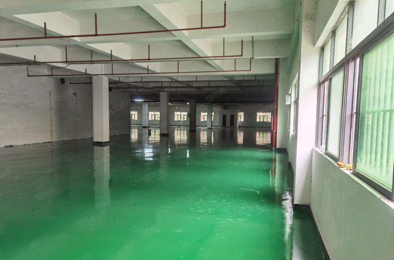 寮步独院1600平厂房8.8元出租，空地大，交通好!