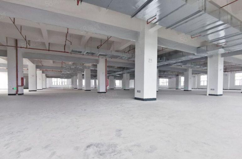 原房东独院厂房仓库出租带消防喷淋 空地大水电现成可分租