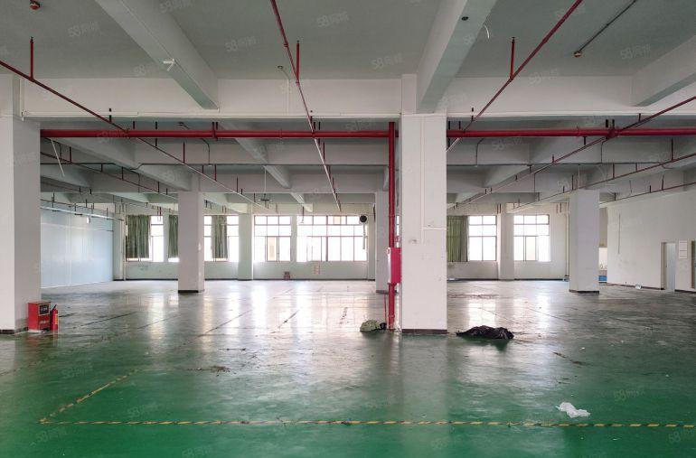 寮步镇原房东楼上1460方带装修低价出租