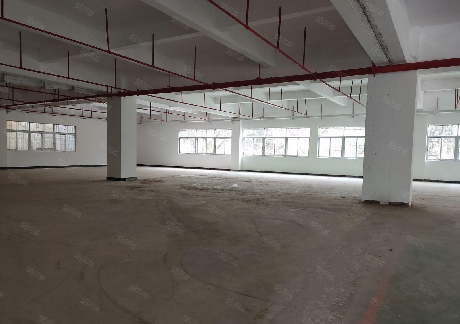 寮步 上底 独院厂房 分租整层2000平方.现成装修