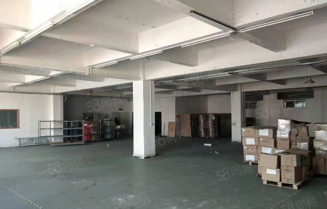 寮步 泉塘 独院 厂房出租 共5000平方，形象好