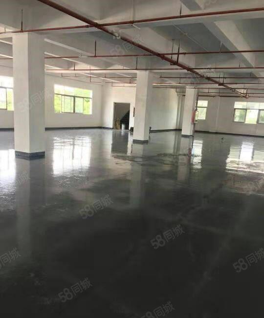 寮步 华南城 高新科技园 二楼 1000平方，带精装修