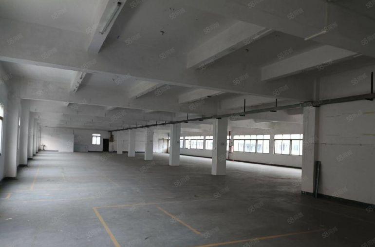 寮步园区厂房   出租整层1400平方米   低价出租