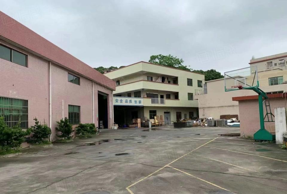 自营的干起！寮步1800平独院钢构厂房，原房东出租价格实惠