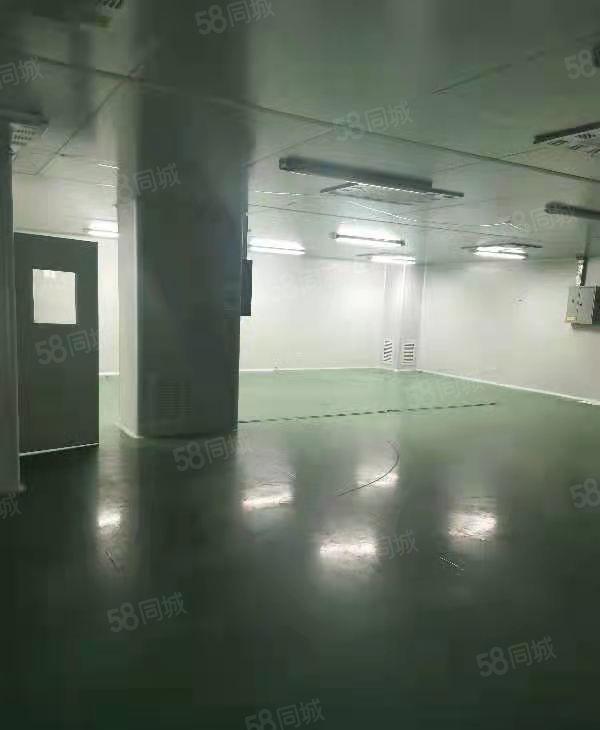 花园式独院厂房10000平方，宿舍20000，办公1800平