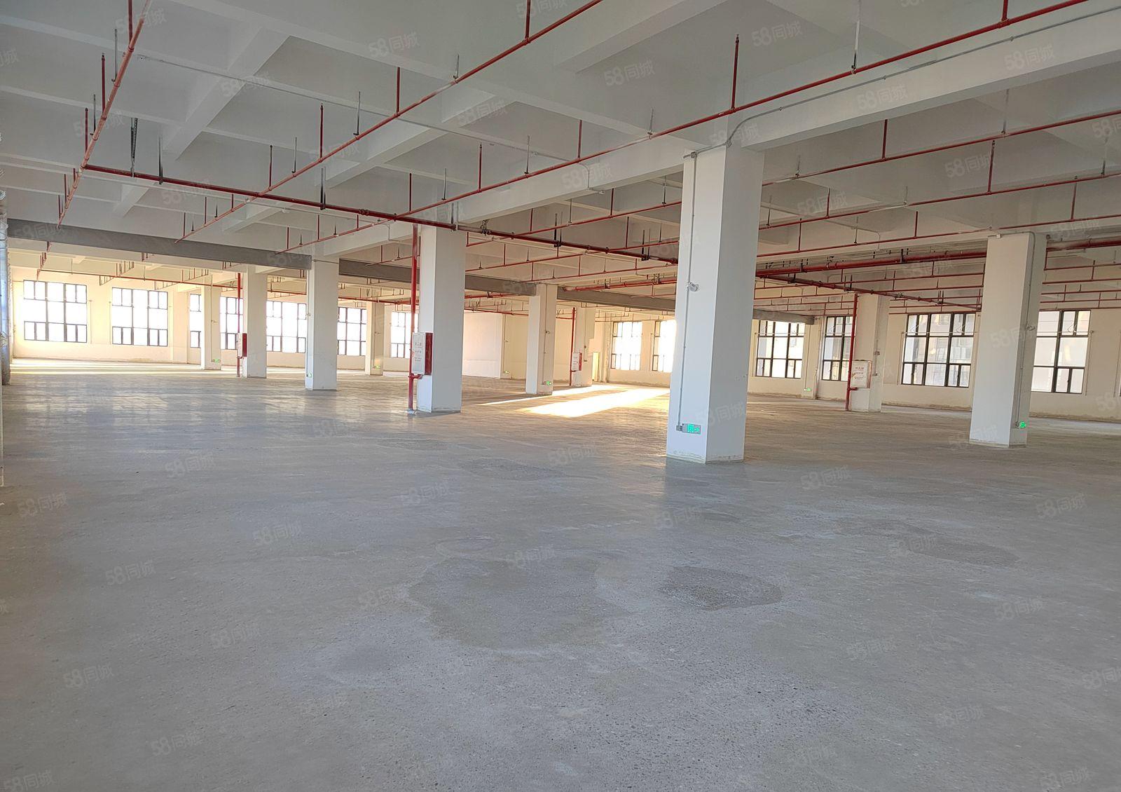 寮步全新重工业厂房1到8层 每层2600平方 1000方起租