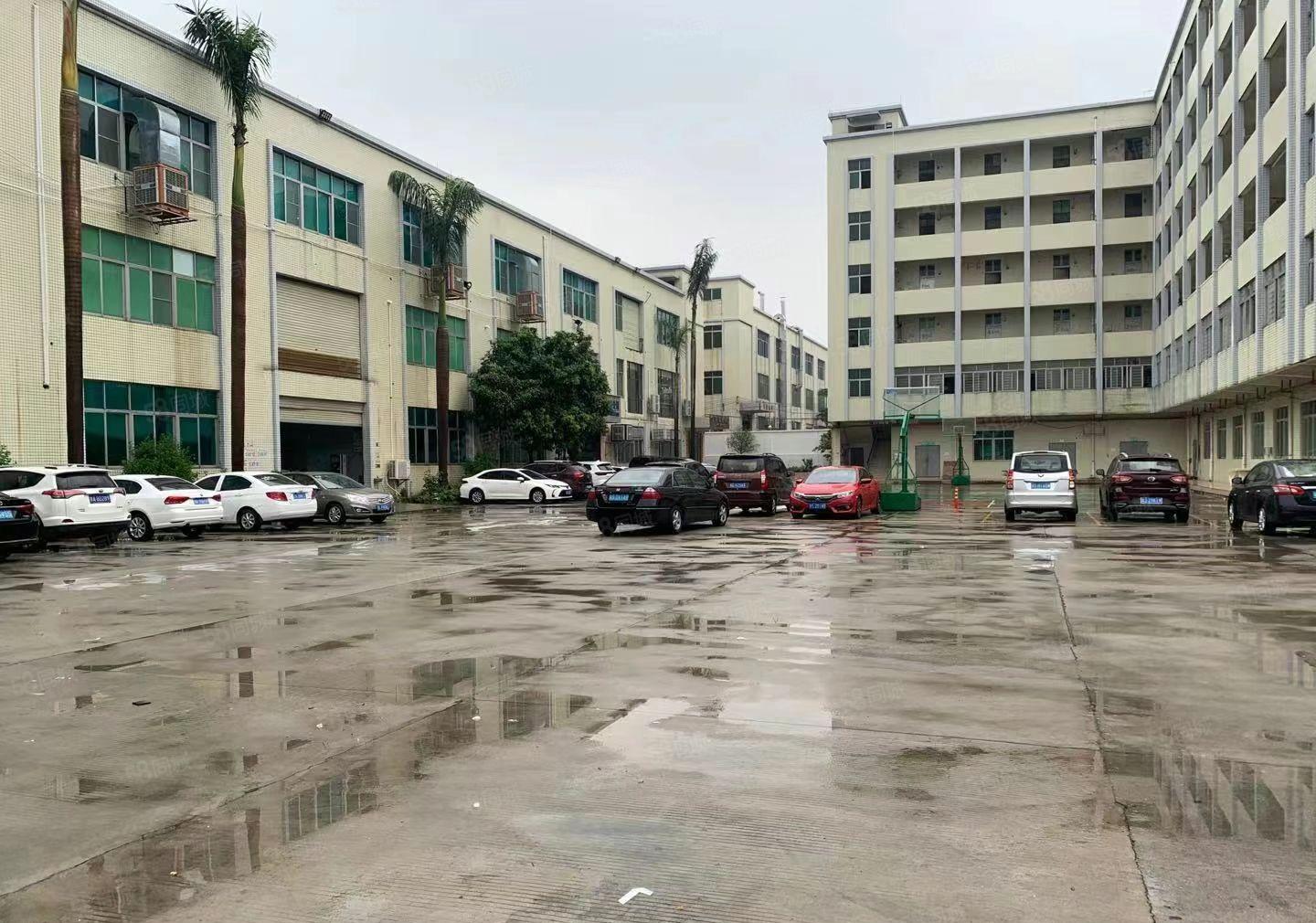 寮步岭厦原房东出租一楼1000平（带无尘车间）