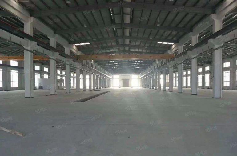 华南城 独院 单一层钢构 2800平方 带行车 高度10米