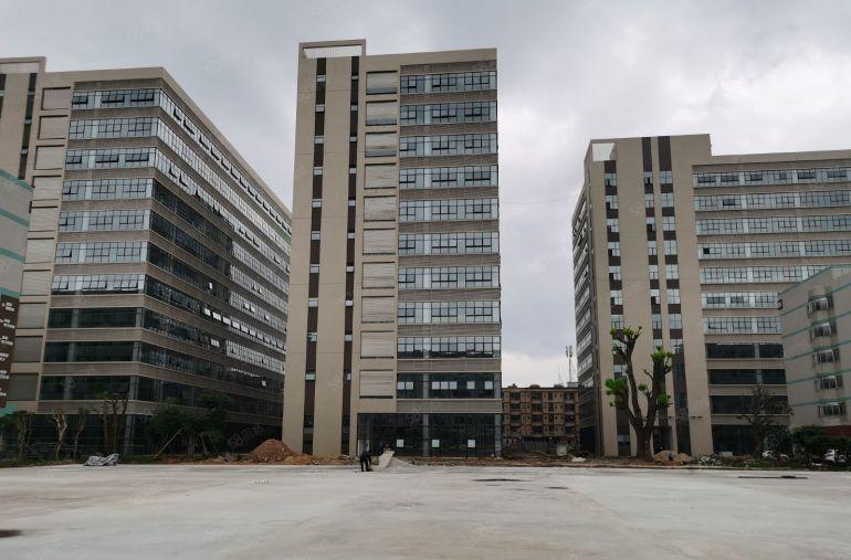 寮步镇原房东全新红本，玻璃幕墙，3万平方高端大气厂房招租