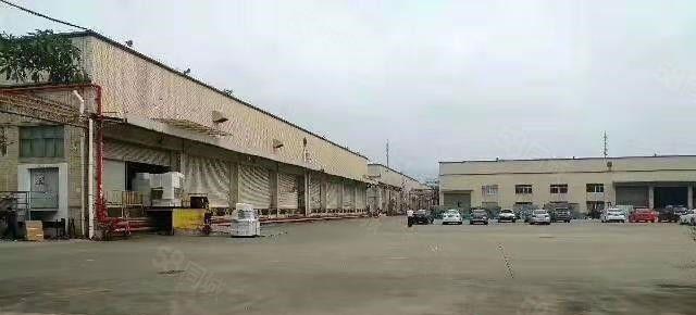 寮步海关单一层钢构出租2000平,带卸货平台,可分租