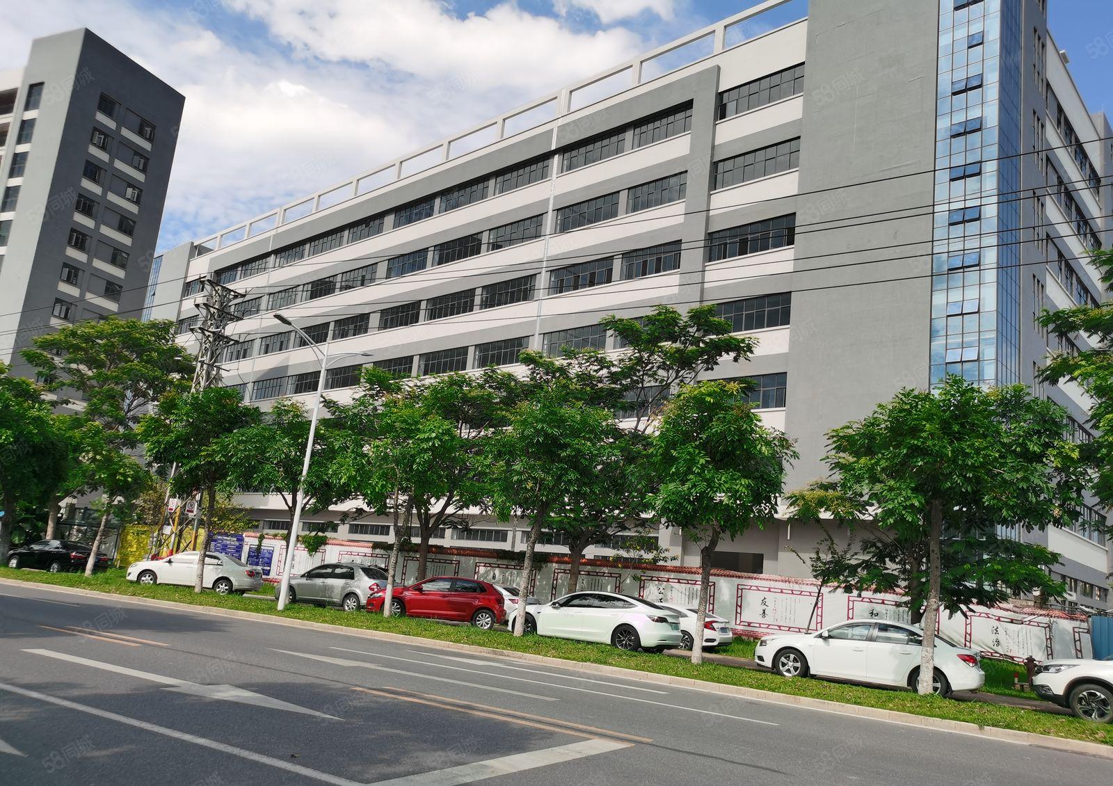 寮步镇靠近松山湖原房东9.5万红本独门独院厂房招租