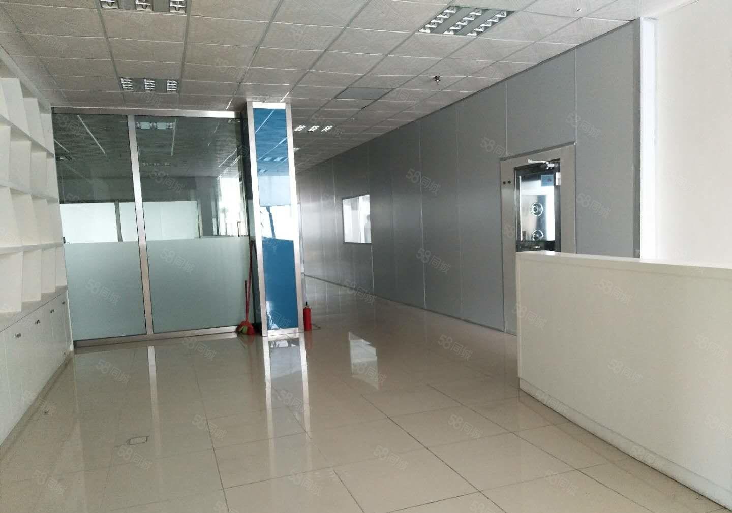 牛杨 二楼 1000平方 带办公装修 生产仓库都可以