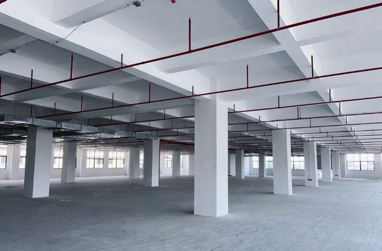 二楼带牛角承重2.5吨实力新厂房房东直租，高度7米厂房出租