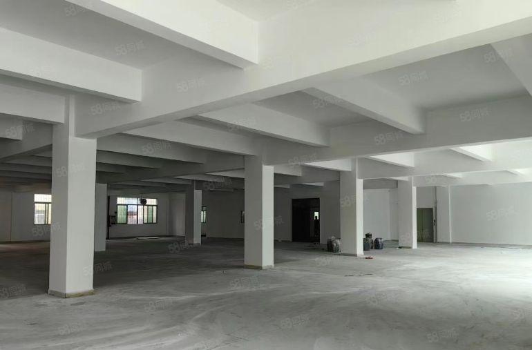 寮步 华南城 高新科技园 二楼 1000平方，带精装修