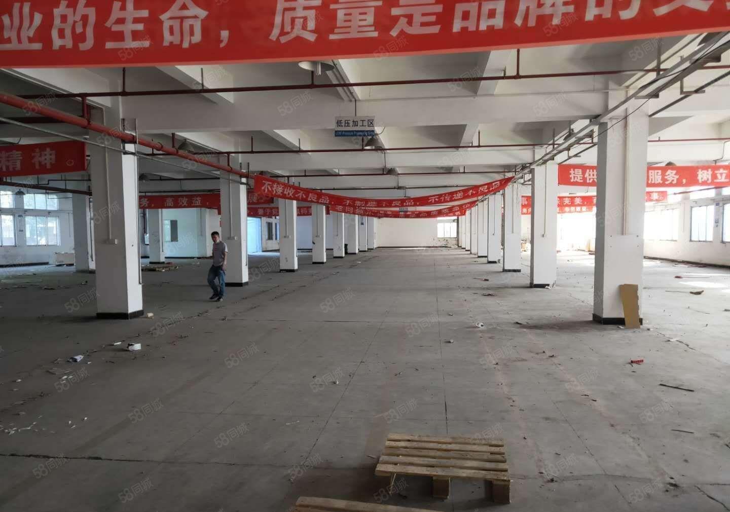 寮步上屯高新科技园新出一楼800平形象好空地大可办环评！