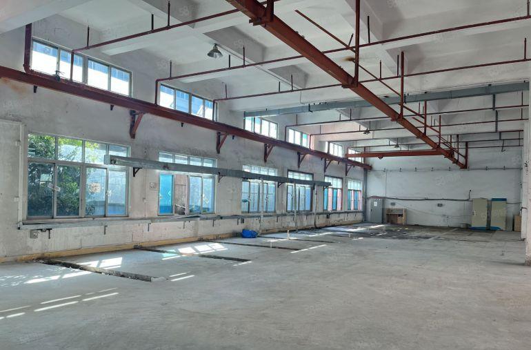 寮步新出原房东独院。带独栋装修办公室带牛角位形象好空地非常大