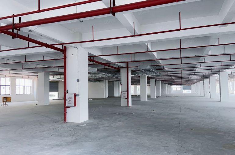 ！茶山原房东标准独门独院5100平方，实际面积厂房出租