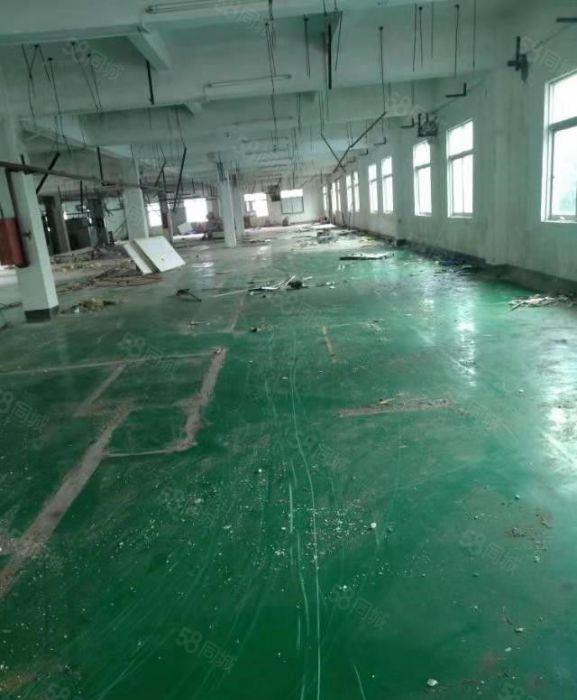 寮步石步独院厂房出租2000平方，原房东