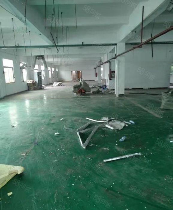 寮步石步独院厂房出租2000平方，原房东