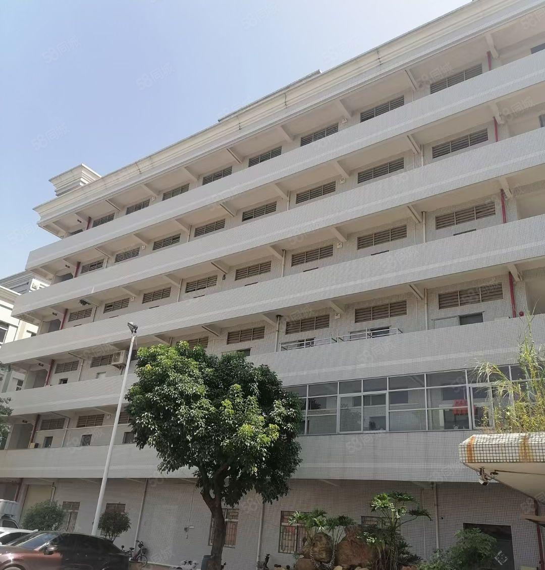 寮步独院13800平方厂房低价出租，园区空地大，好招工