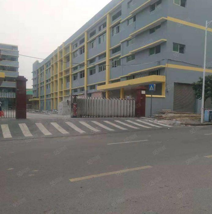 寮步 上底 独院厂房 分租整层2000平方.现成装修