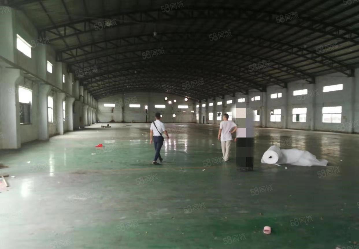 寮步海关单一层钢构出租2000平,带卸货平台,可分租