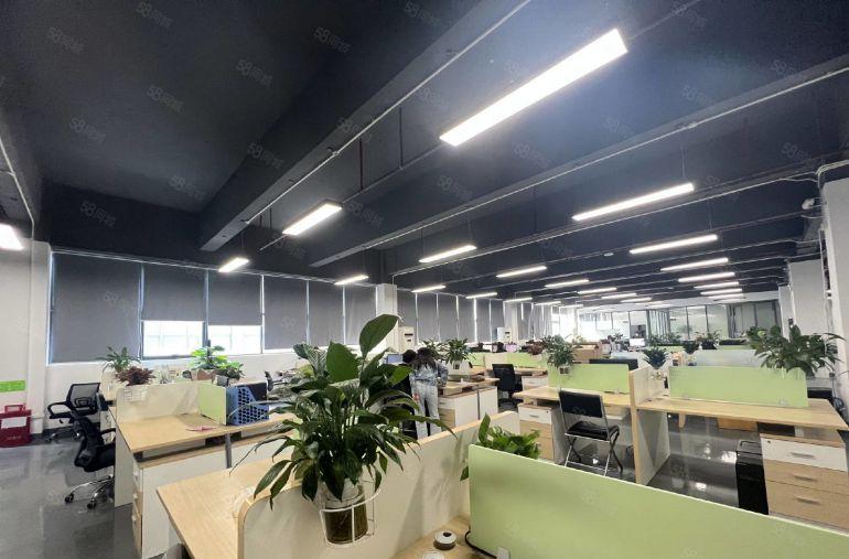 寮步大进4850平可分精装修低价厂房仓库无尘车间一楼楼上出租