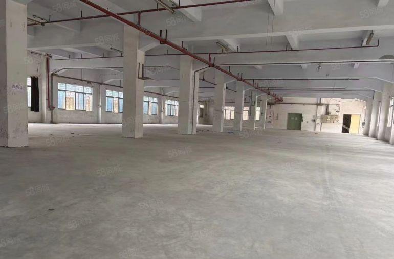 厂房出租寮步原房东 独门独院 两层6000平方