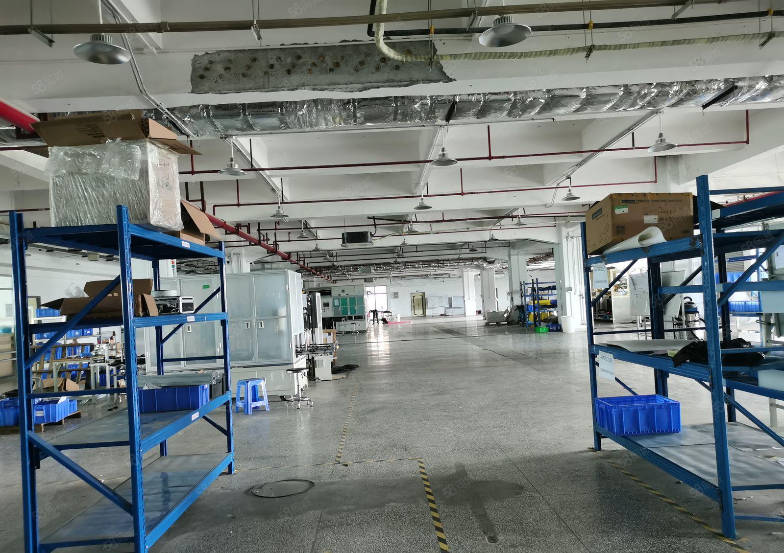 寮步镇靠近松山湖原房红本3.8万独门独院厂房招商