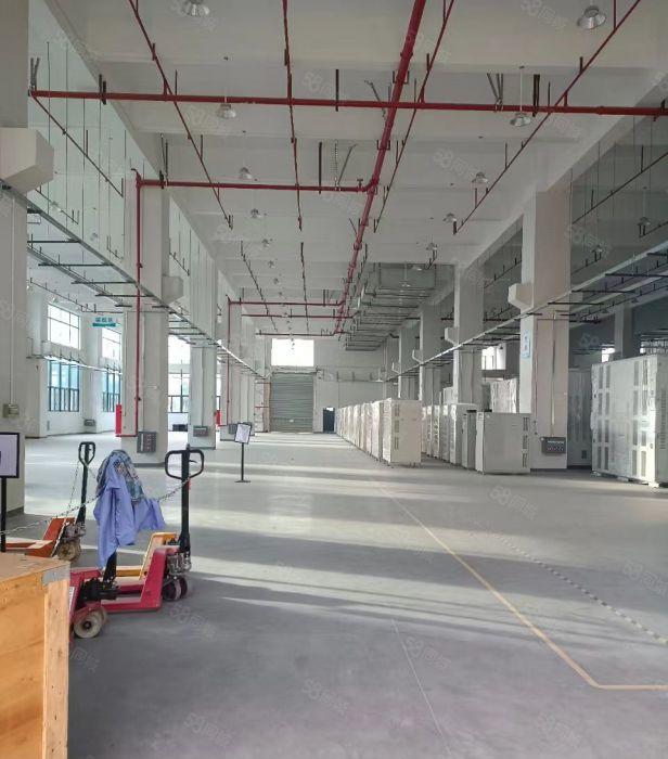 原房东厂房仓库出租 空地大 现成环评 双证齐全可分租