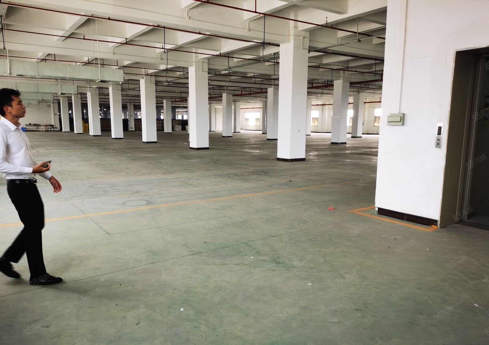 寮步镇新出原房东独院工业用地厂房可办环评