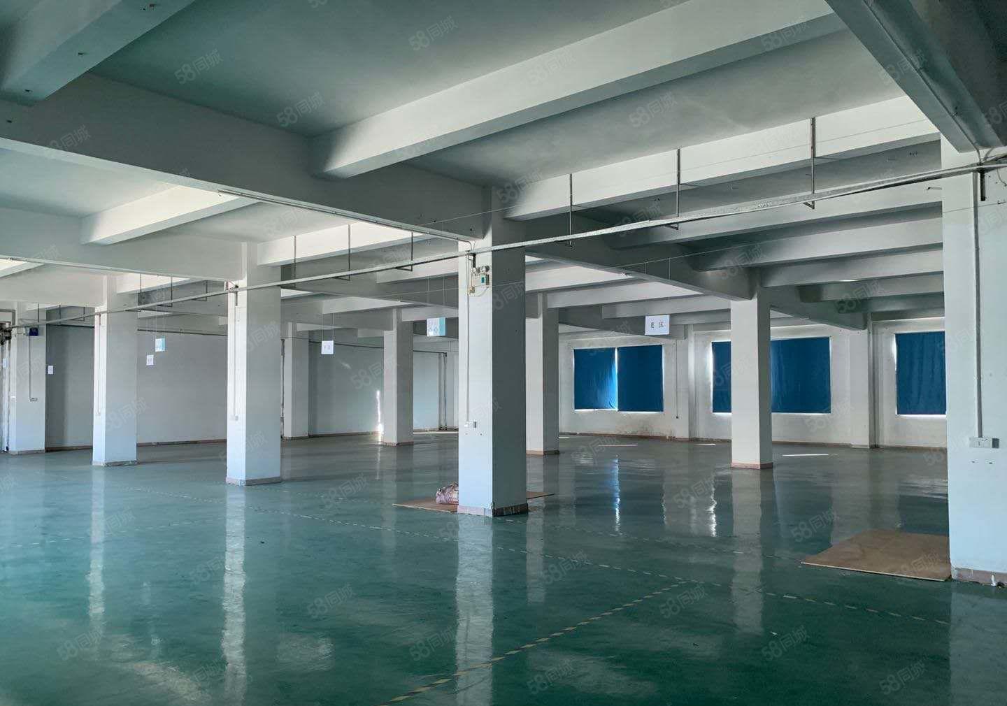 低价厂房出租！寮步良边原房东厂房1288平，带办公室