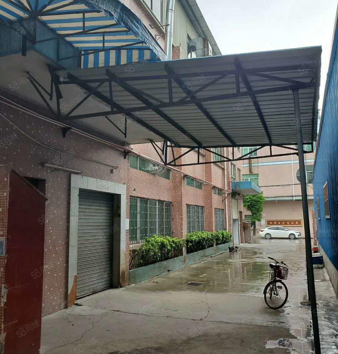 低价出租寮步横坑新出小独院厂房800平方不收取管理费用