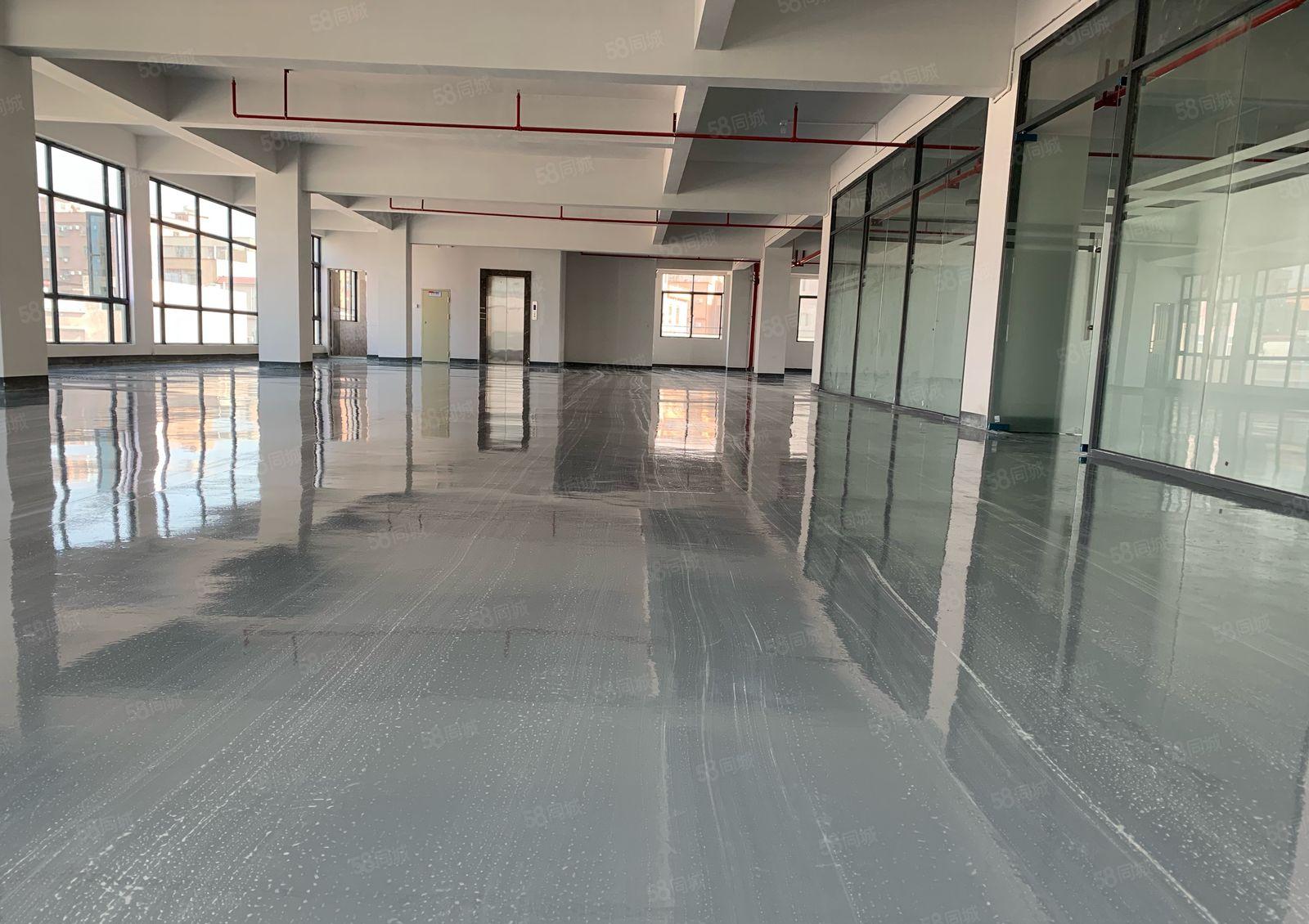 松湖独院厂房1000平方米带5吨货梯出租